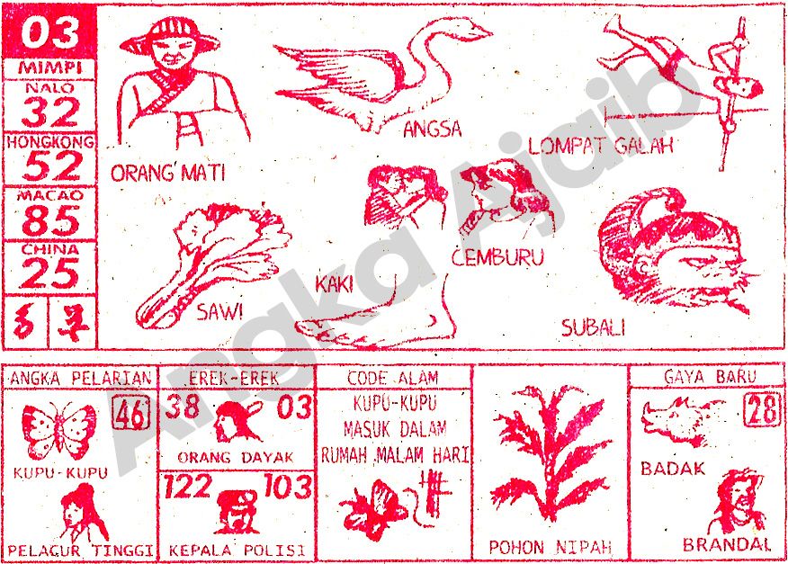 Kupu-Kupu Masuk Rumah: Antara Mitos, Realita, dan Simbolisme
