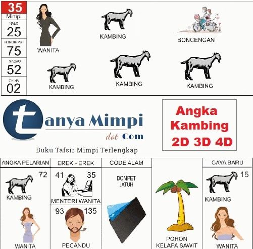 Mimpi Dikasih Nomor 4 Angka: Antara Harapan dan Kenyataan