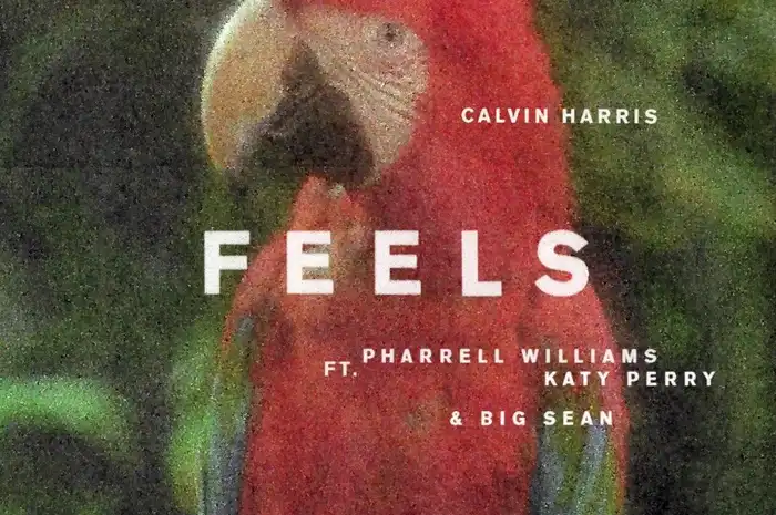 Mengungkap Makna Tersembunyi di Balik Lagu "Feels": Sebuah Analisis Mendalam