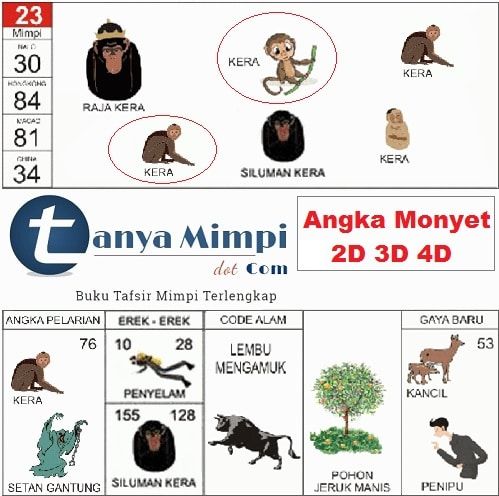 Memahami Mimpi Kawin Dalam: Proses Alami dan Potensi Manfaatnya