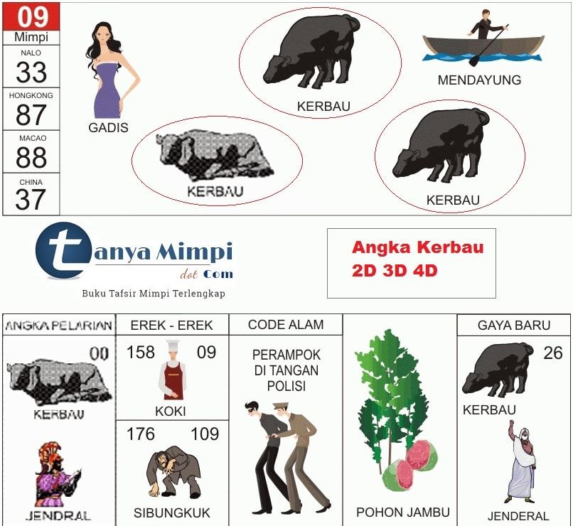 Memahami Makna di Balik Mimpi Digigit Harimau