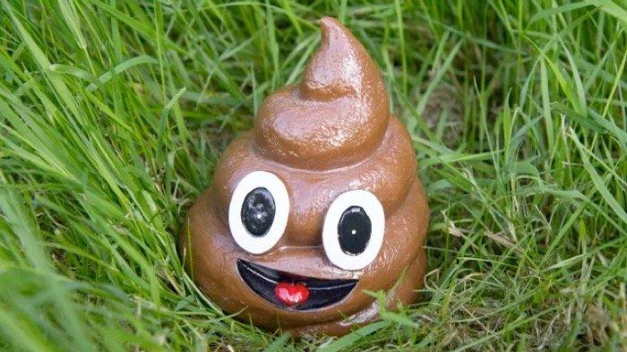 Mimpi Makan Kotoran Sendiri: Sebuah Analisis Psikologis dan Spiritual