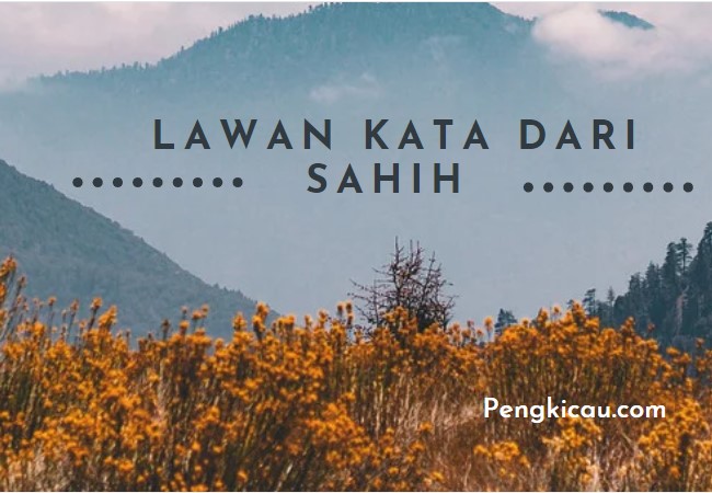 Menjelajahi Spektrum Emosi: Memahami Lawan Kata dari Kasih Sayang