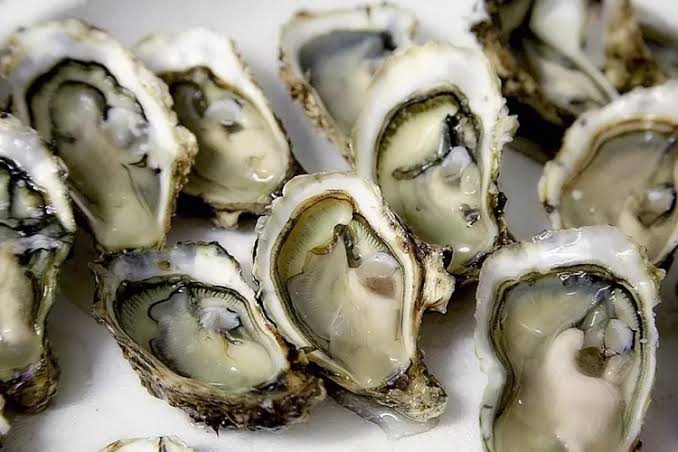 Rahasia Memperoleh Mimpi Kerang Secara Alami: Panduan Lengkap