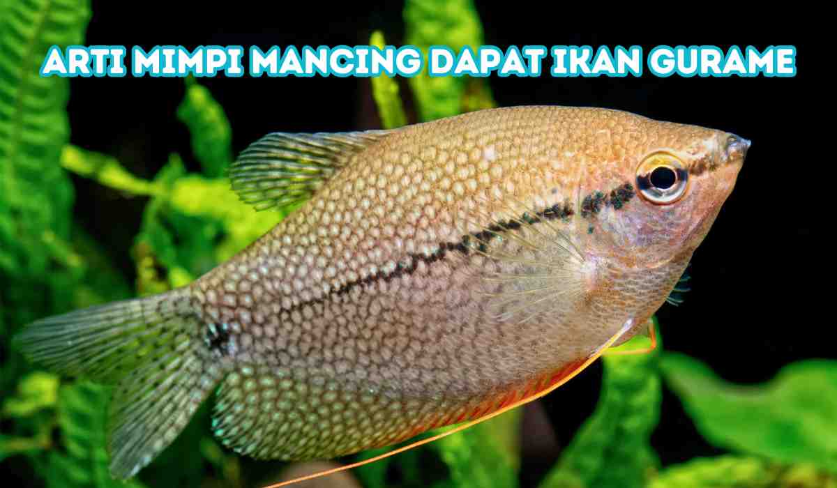 Menelisik Makna di Balik Mimpi Mancing Dapat Ular