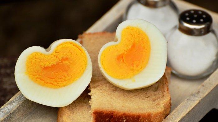 Memahami Makna dan Proses Mimpi Melihat Telur Ayam Menetas Alami