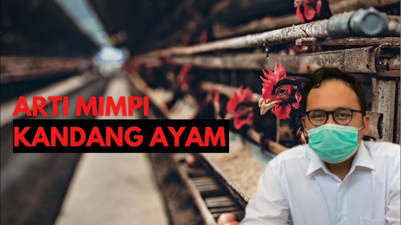 Mimpi Kandang Ayam: Memahami Simbolisme dan Potensi Diri