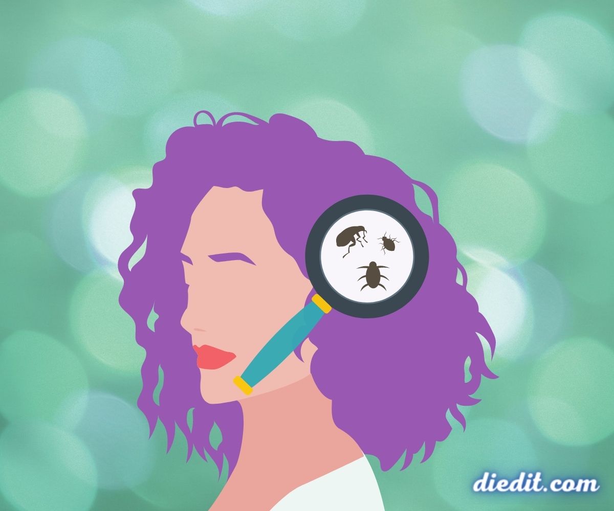 Mimpi Kutu: Cara Alami Membasmi Kutu Rambut