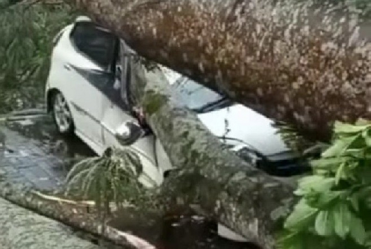 Memahami Kondisi Ringsek: Penyebab, Dampak, dan Penanganannya