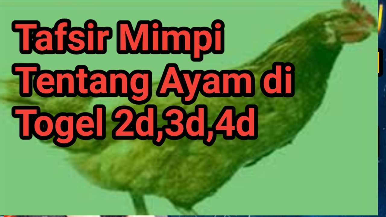 Memahami Tafsir Mimpi 2D Ayam: Panduan Lengkap
