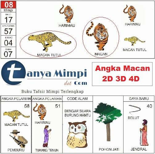 Memahami Tafsir Mimpi Kawin: Simbolisme dan Interpretasi