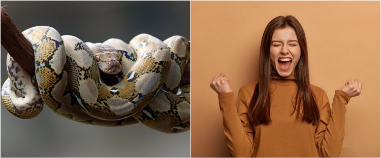 Memahami Arti Mimpi Digigit Ular di Paha Kanan: Interpretasi dan Maknanya
