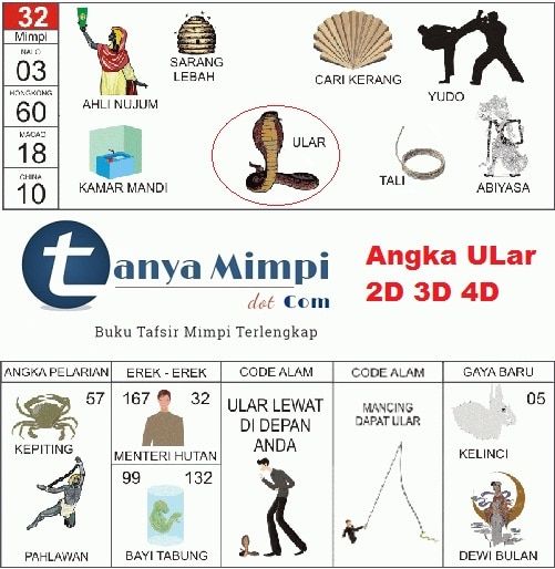 Mimpi Dikejar Reog: Makna, Interpretasi, dan Relevansinya dalam Kehidupan