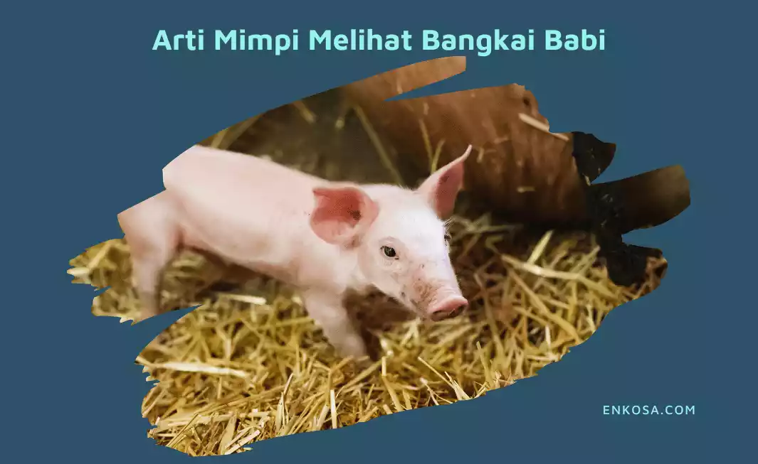 Menelisik Makna di Balik Mimpi Melihat Babi