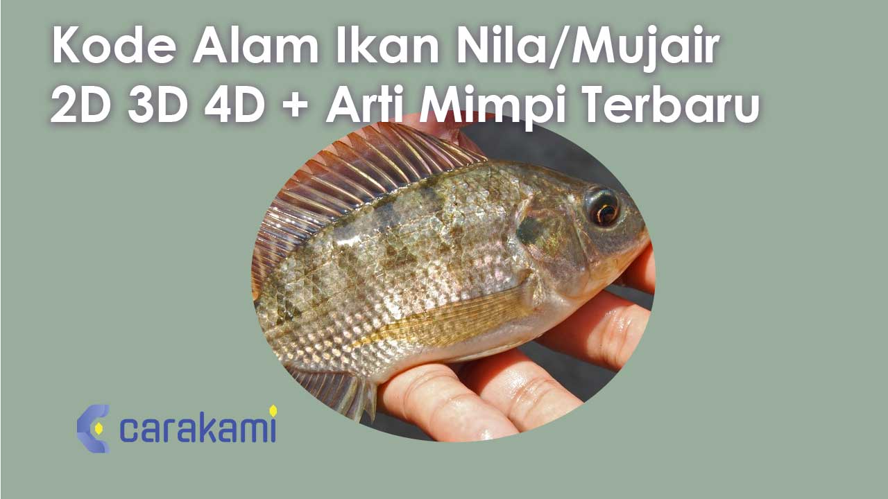 Memahami Makna di Balik Mimpi Melihat Orang Mancing Ikan