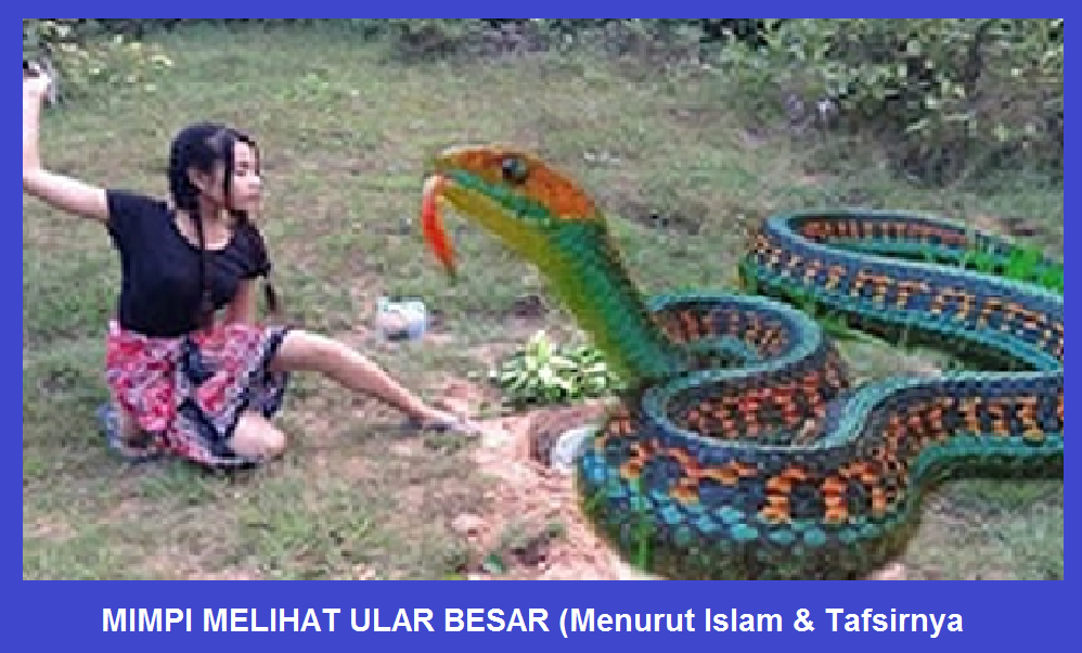 Memahami Makna Mimpi Dililit Ular Besar: Sebuah Analisis Komprehensif