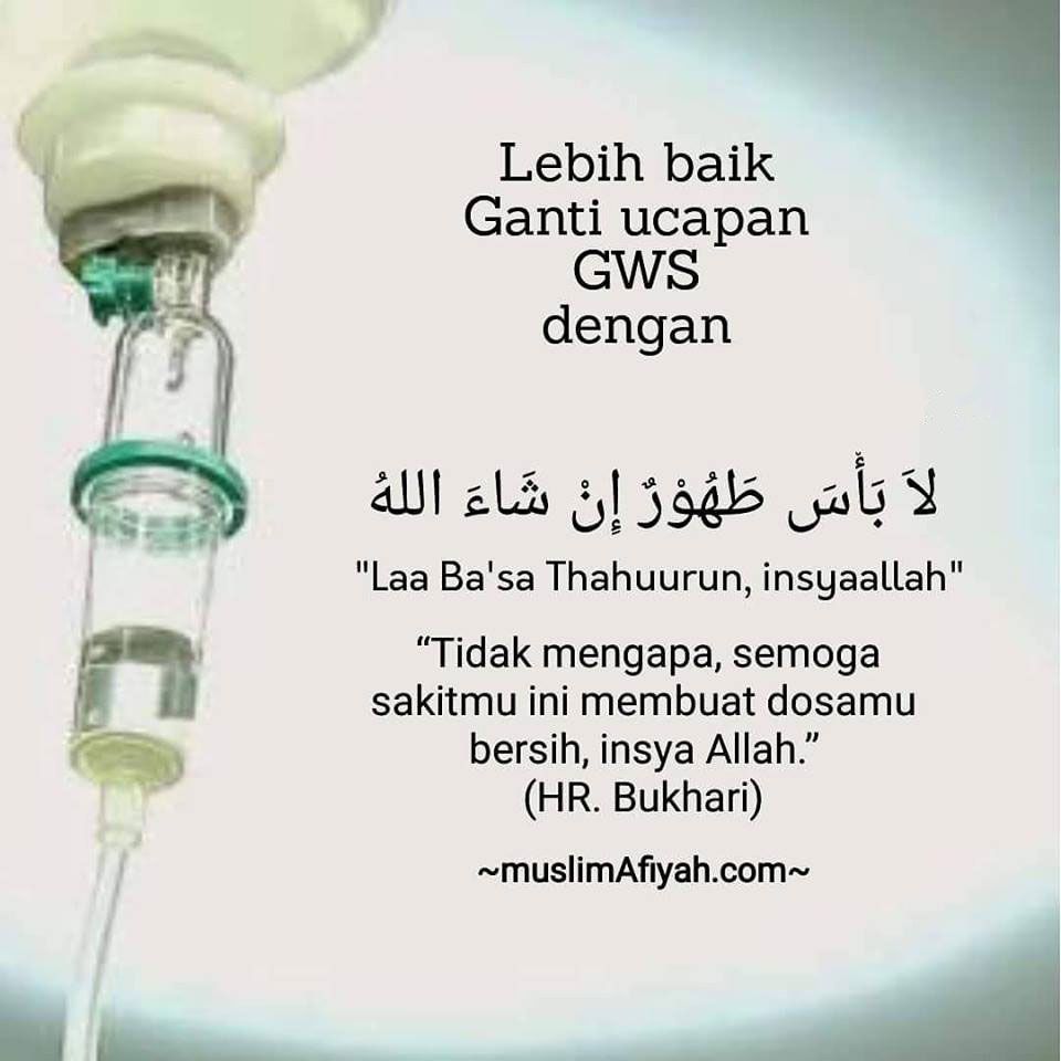 Stek Gaul: Memahami dan Memanfaatkannya dalam Kehidupan Modern