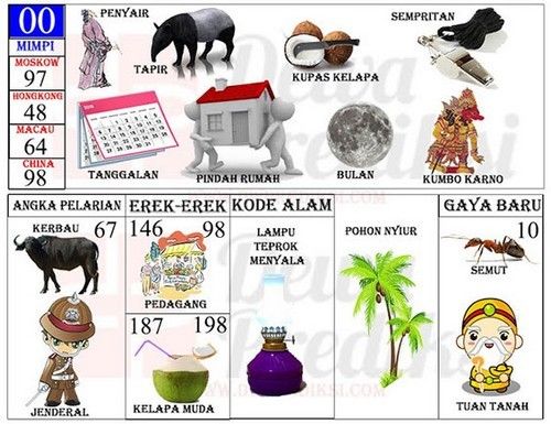 Memahami Arti Mimpi Dikejar Tawon: Perspektif Psikologis dan Praktis