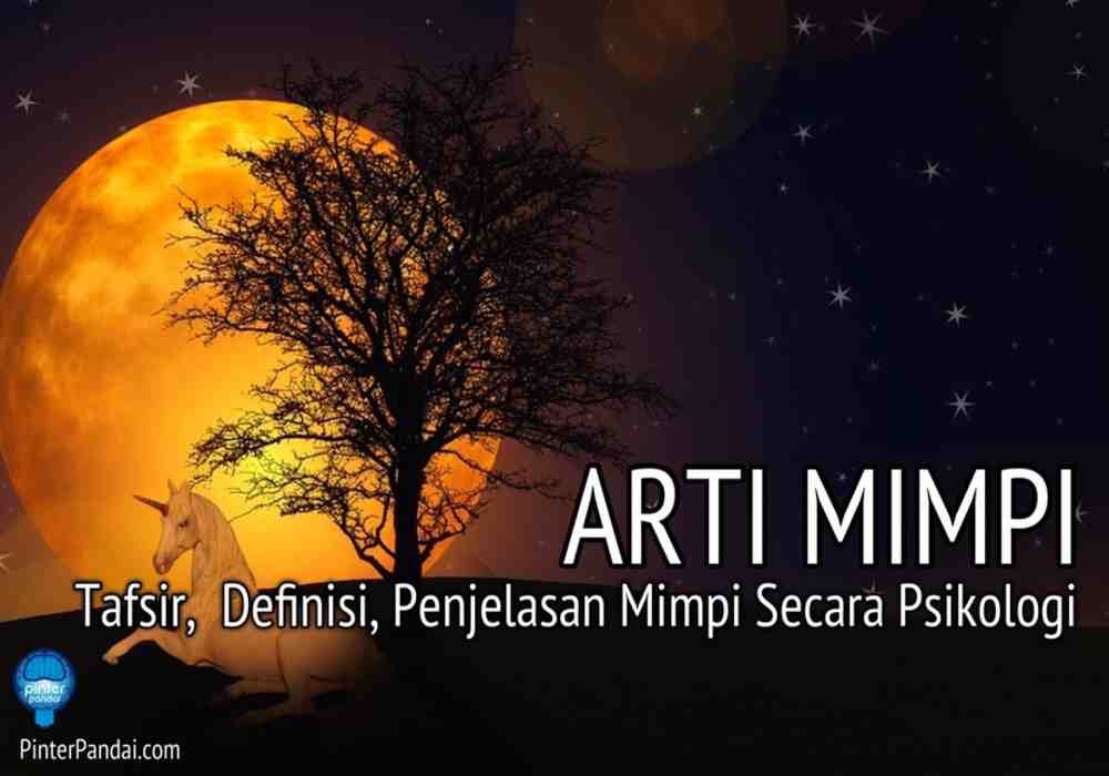 Memahami Keindahan dan Simbolisme Angsa Putih