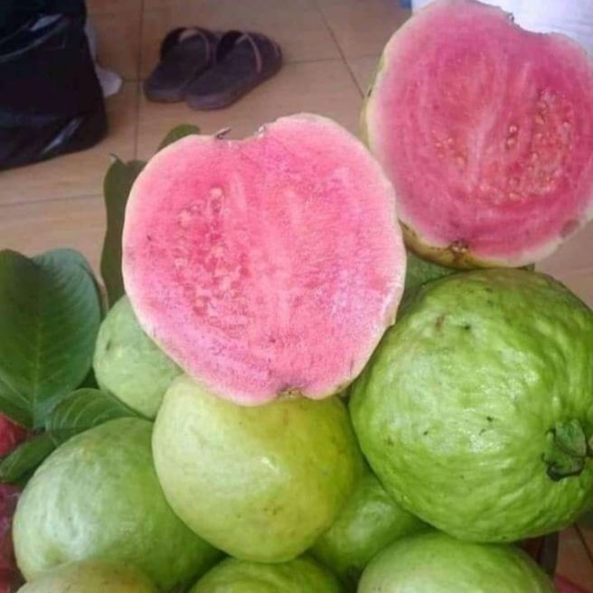 Mengkel Alami: Rahasia Pematangan Buah yang Optimal