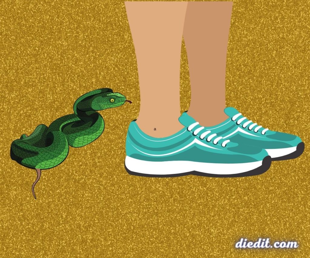 Memahami Arti Mimpi Digigit Ular: Interpretasi dan Maknanya