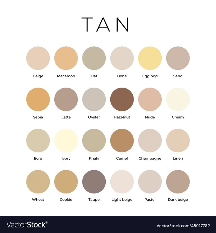 Mengenal Lebih Dekat Honey Beige: Warna yang Hangat dan Universal