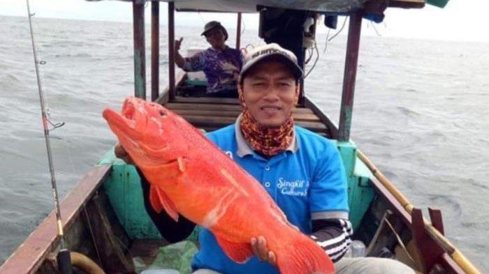 Memahami Makna dan Praktik di Balik Mimpi Dapat Ikan Patin