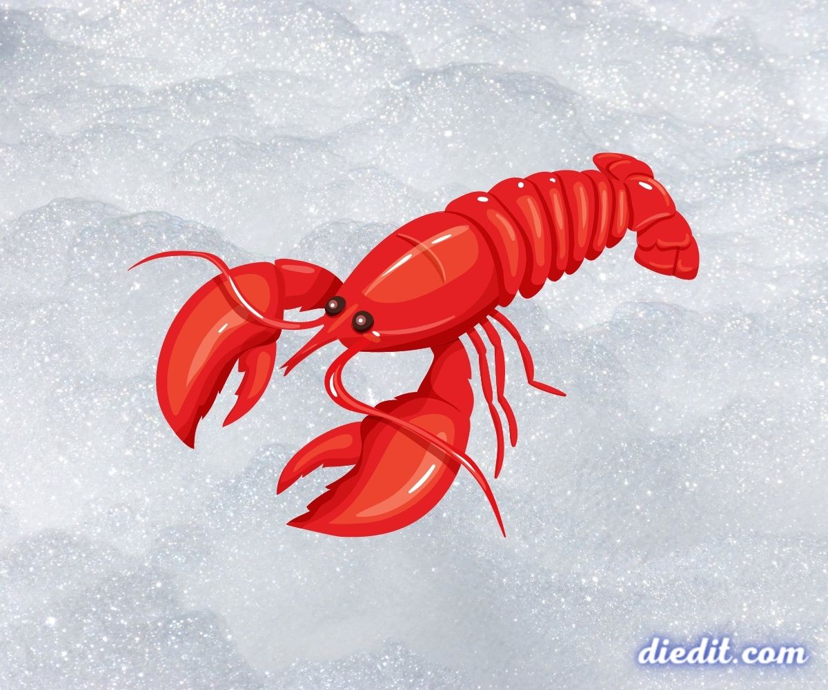 Mengungkap Makna di Balik Mimpi Melihat Udang Lobster di Alam