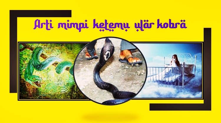 Arti Ketemu Ular di Jalan: Penjelasan dan Perspektif