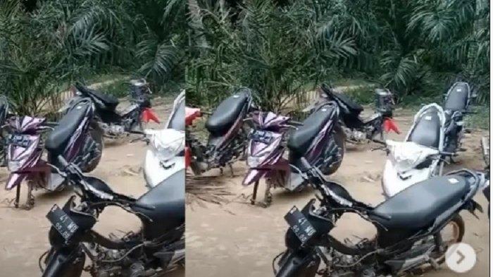 Memahami Arti Mimpi Motor Dicuri Orang: Sebuah Analisis Mendalam